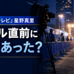 『24時間テレビ』星野真里のゴール直前に何があった？SNSで話題の場面を整理